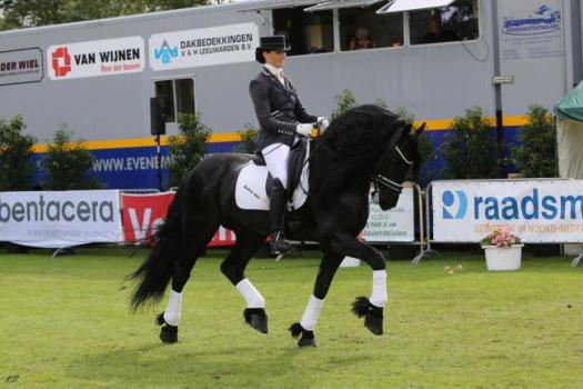 Inschrijving Dressuur geopend
