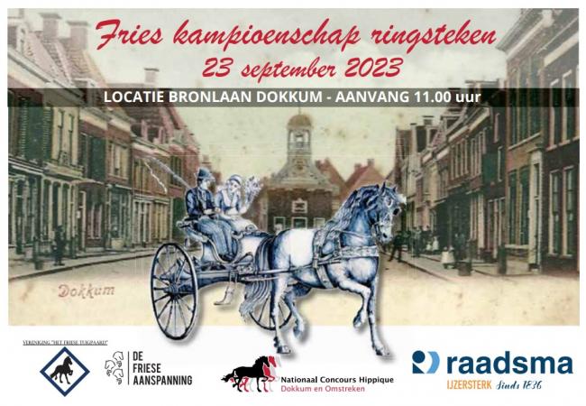 Zaterdag 23 september Fries Kampioenschap Ringsteken op de Bronlaan in Dokkum