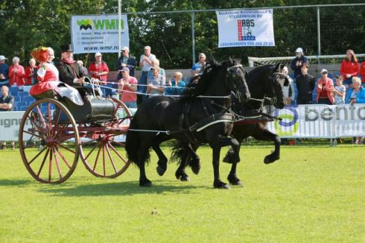 Ook in juni 2021 geen Nationaal Concours Hippique Dokkum e.o.