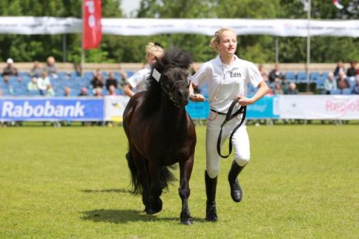 Opgave ponykeuring t/m 8 juni