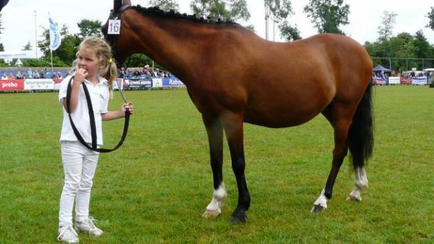 Uitslagen 16e ponykeuring