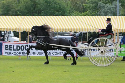 80e editie Nationaal Concours Hippique Dokkum