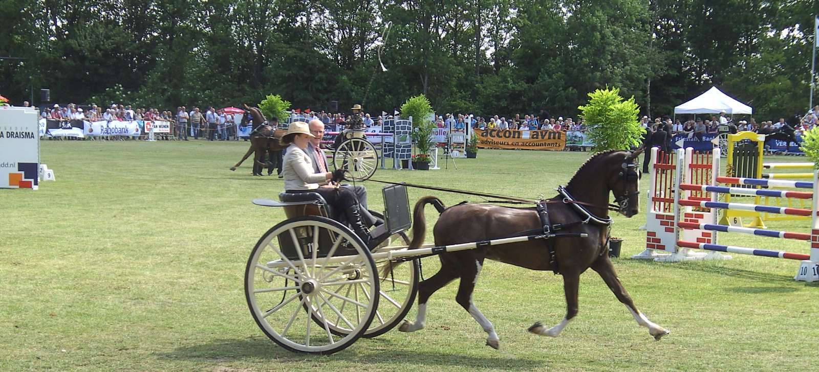 Nationaal Concours Hippique Dokkum e.o. afgelast als gevolg van corona-virus